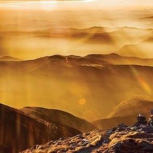 Meet your Posher, Cynthia